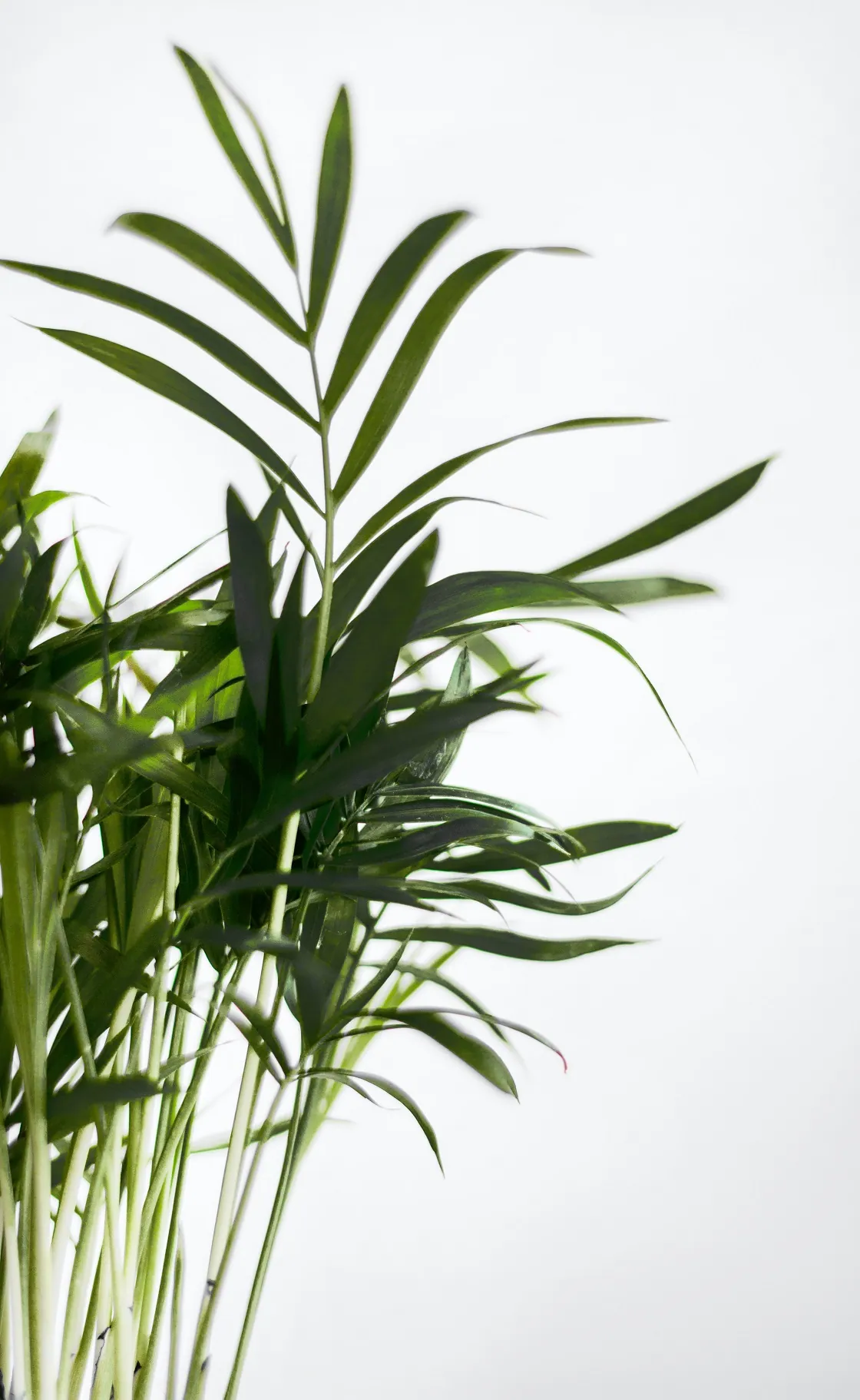 Creer une boutique en ligne produits